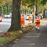 Laubbläser(in) vorweg, Harken-Team hinterher – und schon liegt das Laub bereit zum Aufsaugen.