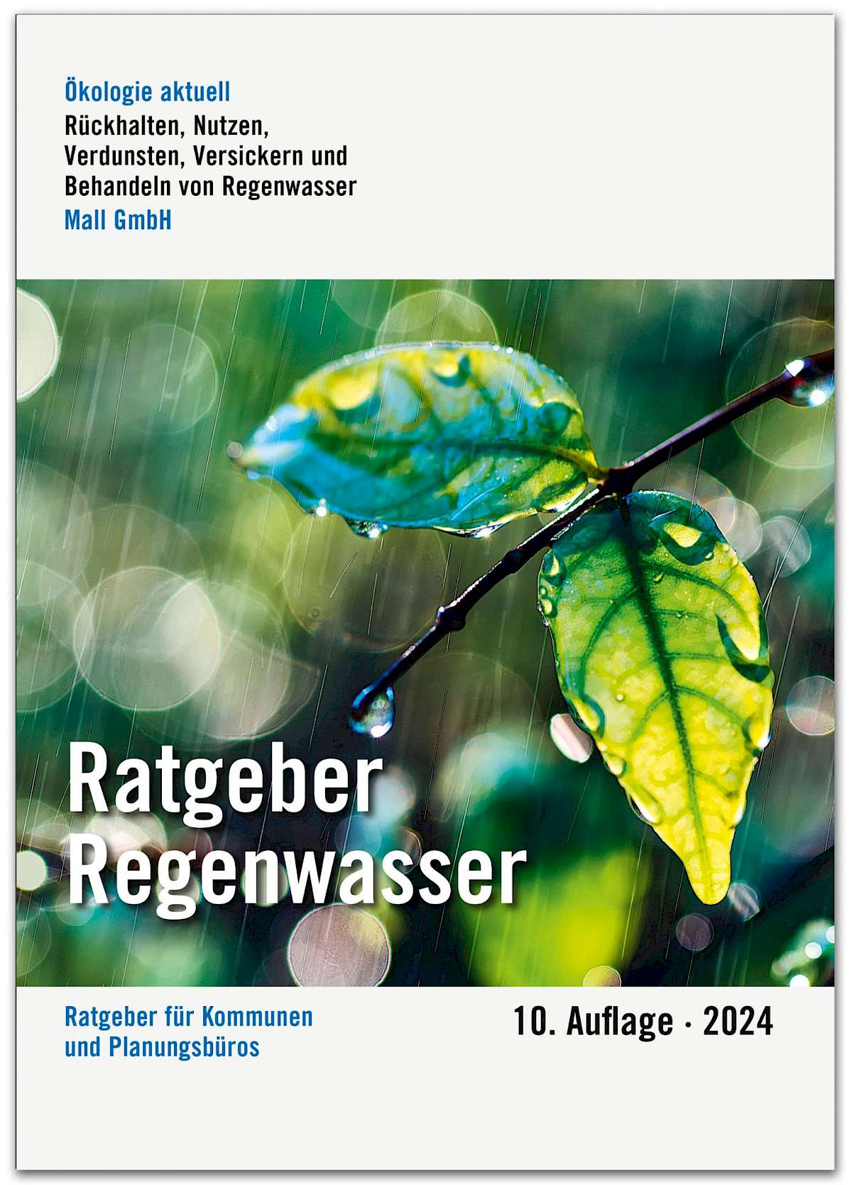 Regenwasser-Ratgeber | KommunalTechnik