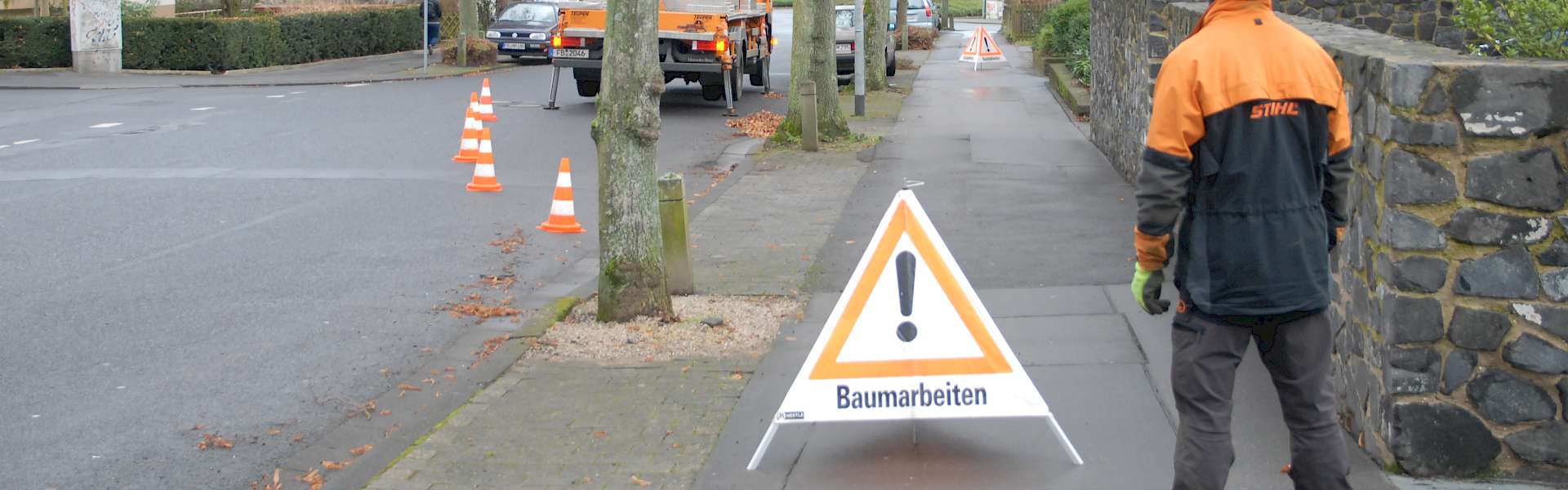 Baumarbeiten Baumpflege Stadtbäume